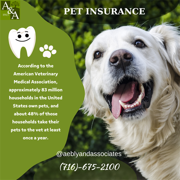 Pet Insurance