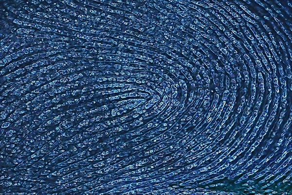 Are You at Risk for Medical Identity Theft?